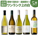 買付隊が厳選！ワンランク上の蔵直(R)白ワインセット 5本 白ワイン シャルドネ 辛口 カリフォルニア フランス 第2弾