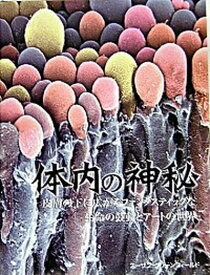 【中古】体内の神秘 皮膚の下に広がるファンタスティックな生命の鼓動とア/ガイアブックス/ス-ザン・グリ-ンフィ-ルド（単行本）