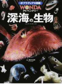 【中古】深海の生物 /ポプラ社/藤倉克則（大型本）