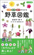 【中古】ハンディ版野草図鑑 食草・薬草・毒草がわかる/朝日新聞出版/金田洋一郎（単行本）