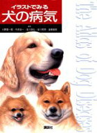 【中古】イラストでみる犬の病気/講談社/小野憲一郎（単行本（ソフトカバー））