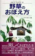 【中古】野草のおぼえ方 上 /小学館/いがりまさし（単行本）