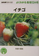 【中古】イチゴ /NHK出版/矢部和則（単行本（ソフトカバー））