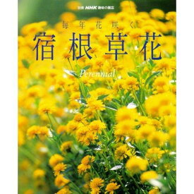 【中古】毎年花咲く宿根草花 /NHK出版（ムック）