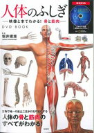 【中古】人体のふしぎ 映像と本でわかる！骨と筋肉　DVD　BOOK /宝島社/坂井建雄（大型本）