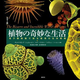 【中古】植物の奇妙な生活 電子顕微鏡で探る驚異の生存戦略/創元社/ヴォルフガング・シュトゥッピ-（単行本）