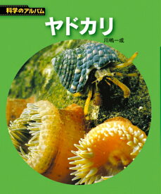 【中古】ヤドカリ 新装版/あかね書房/川嶋一成（単行本）