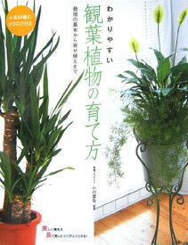 【中古】わかりやすい観葉植物の育て方 栽培の基本から寄せ植えまで/大泉書店/小川恭弘（単行本）