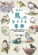 【中古】身近な「鳥」の生きざま事典 散歩道や通勤・通学路で見られる野鳥の不思議な生態/SBクリエイティ…