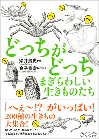 【中古】どっちがどっちまぎらわしい生きものたち/さくら舎/梁井貴史（単行本（ソフトカバー））