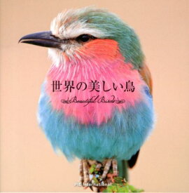 【中古】世界の美しい鳥/パイインタ-ナショナル/アフロ（ペーパーバック）