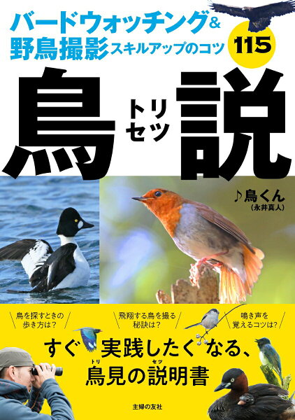 【中古】鳥説 バードウォッチング＆野鳥撮影スキルアップのコツ１１/主婦の友社/♪鳥くん（単行本（ソフトカバー））