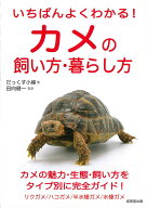 【中古】いちばんよくわかる！カメの飼い方・暮らし方/成美堂出版/だっくす小峰（単行本）