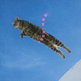 【中古】音楽堂/CD/YCCW-10108