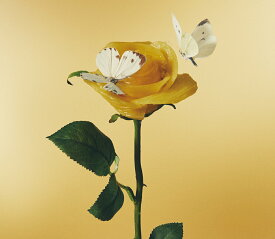 【中古】CD おいしいパスタがあると聞いて / あいみょん