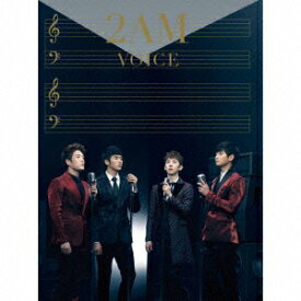 【中古】VOICE（初回生産限定盤B）/CD/BVCL-478