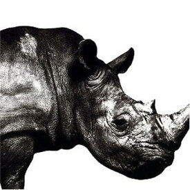 【中古】Mr．Children　1992-1995/CD/TFCC-88180