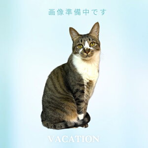 Columbia �R�����r�A �T�b�v�����h �t�H�[ ���b�N�X �T�C�h�S�A �E�H�[�^�[�v���[�t �I���j�q�[�g�C���t�B�j�e�BSAPLAND? IV LUX SIDE-GORE WP OHI YU9594 �����Y �E�B���^�[ �X�m�[ �V���[�Y �C �u�[�c ��