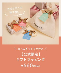 yz gvJs IWi Mtg bsO TOPKAPI v[g obO obN z Mtg v[g a jy͂܂ł̓AӎKmFz