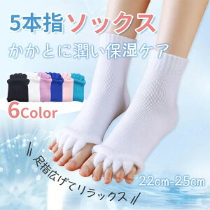 5{w\bNX tbgPA fB[X ݖh~H ܖ{w\bNX C 5{w 5{w\bNX 5{wC ܖ{wC p 22-25cm V[g\bNX Ԃ\bNX ۉ L hL p