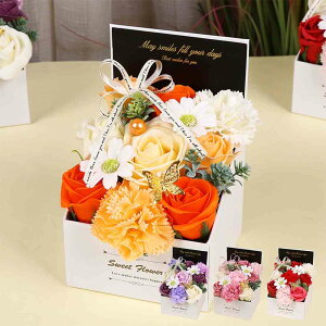 ̓ \[vt[ o J[l[V v[g  ͂Ȃ Mtg [Y t[{bNX o^Cf[ NX}X j  ̓ a j LO  h