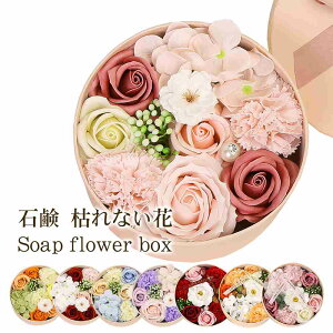 ̓ ԑ {^ \[vt[ v[g  o ͂Ȃ Mtg [Y t[{bNX o^Cf[ NX}X j  ̓ a v[g j