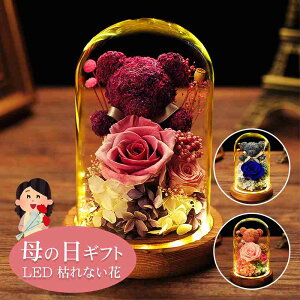 ̓ C~l[V  vU[uht[ KN o ROSE [Y I[ig  ͂Ȃ Mtg t[{bNX o^Cf[ NX}X j  ̓ a 