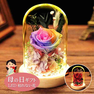 ̓  C~l[V  LED vU[uht[ KN bh Jt C{[ o ROSE [Y I[ig ͂Ȃ Mtg t[{bNX o^Cf[ NX}