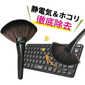 1000円ポッキリ 除電ブラシ クリーニングブラシ 静電気防止 除電ハケ 静電気除去 クリーナー ほこりとり pc 掃除 デスク モニター 車 フィギュア