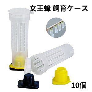 I P[X 10 ~co` IW鑕u I ~co`  {Iu  I ݂΂ {Ip Lb`[P[W {I ֗ {I Ipi ILb`