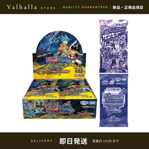 DM26-RP1 �f���G���E�}�X�^�[�YTCG �t�D�ё�1�e �t�]�_VS�؎D�� BOX