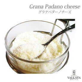 グラナパダーノチーズ パウダー チーズ イタリア産 パスタ カルボナーラ サラダ味 リゾット レストラン パルメザン 粉チーズ イタリアン ふわふわ 美味しい 食べやすい