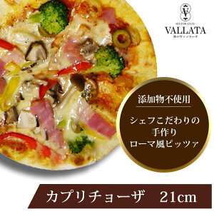 yGg[Bōő10{z {i sU Jv`[U 21cm sU Ⓚ  piza ҂ ⓀHi NXs[ g[X^[ Jv[g _ @b[^  lTCY Ysg