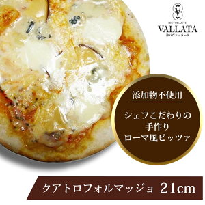 {i sU NAg tH}bW 21cm sU Ⓚ  piza ҂ ⓀHi NXs[ g[X^[ Jv[g _ @b[^  lTCY Ysgp [}  C^A