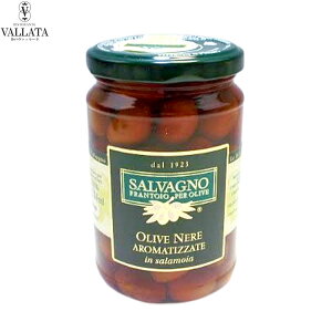 ubNI[u̎ 280g SALVAGNO To[j Ђ 킠C^AY ܂ O I[hu C^A  Mtg Ε