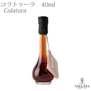 チェターラ産 コラトゥーラ・ディ・アリーチ ガルム 40ml 調味料 イタリアン 魚醤 イタリア産 いわし カタクチイワシ ソース イタリア料理 プロ使用 美味しい コク うまみ 旨味 おすすめ お