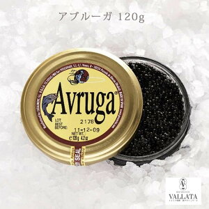 Au[K LrA  gbsO I[hu pX^ ʔ O oPbg  jVLrA ܂ p[eB[ ①  z[p[eB[ Ε