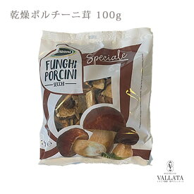 Manzoni イタリア産 乾燥 ポルチーニ茸 100g 業務用 【宅配便】