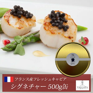 tXYtbVLrA VOl`[ 500g I[vi[ VFXv[t LrA  H   ܂ O I[hu T_ { AH  O