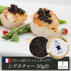 フランス産フレッシュキャビア シグネチャー 50g缶 キャビア 高級 高級食材 おすすめ 美味しい おつまみ 前菜 オードブル サラダ 本物 輸入食材 お取り寄せ 三大珍味 お歳暮