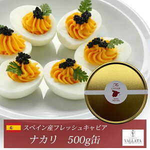 スペイン産フレッシュキャビア ナカリ 500g缶 オープナー シェルスプーン付 キャビア 高級 高級食材 おすすめ 美味しい おつまみ 前菜 オードブル サラダ 本物 輸入食材 お取り寄せ 三大珍味