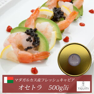 }_KXJYtbVLrA IZg 500g I[vi[ VFXv[t LrA  H ܂ O I[hu T_ { AH  O咿 Ε