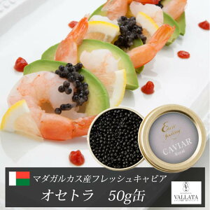 マダガスカル産フレッシュキャビア オセトラ 50g缶 キャビア 高級 高級食材 おすすめ 美味しい おつまみ 前菜 オードブル サラダ 本物 輸入食材 お取り寄せ 三大珍味 お歳暮