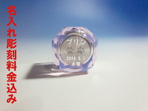 @NX^ف@TH-2@sN@L@ybgp ⍜[KXP[XꃁA 茳{