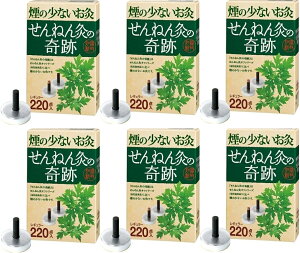 y 6Zbgz Zlt@ ̏Ȃ ˂񋄂̊ M[ p 220_×6Zbg