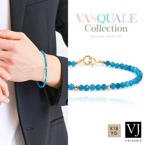 �y �t�@�b�V������ �f�� �z VJ 18�� �u���X���b�g �A�p�^�C�g �C�G���[�S�[���h 18k �����Y �u �o�X�N�A�[�� Dylan �u���X �v ������18cm 20cm[ k18 �V�R�� �W���G���[ �A�����J�� �C�^���A �n���C�A