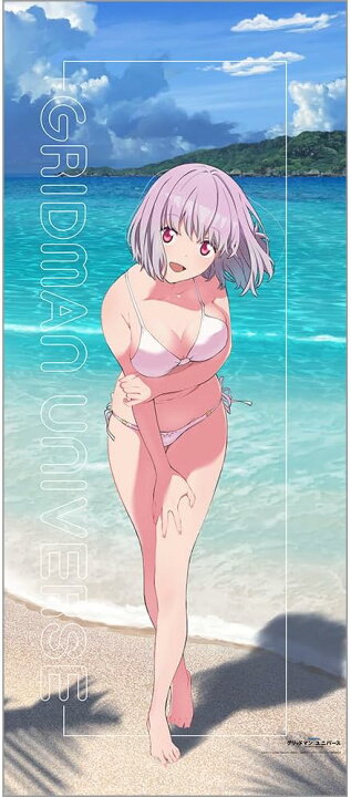 楽天市場】グリッドマン ユニバース 描き下ろし特大タペストリー(新条 