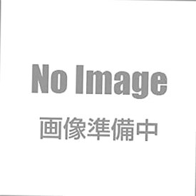 予約 葬送のフリーレン AMP+ フリーレン フィギュア ※9月2日発売予定
