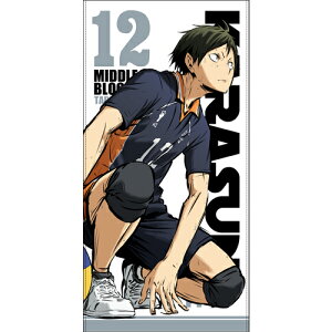 nCL[!! G썂Z VS wZ R ւ̓uVer. 120cmrbO^I