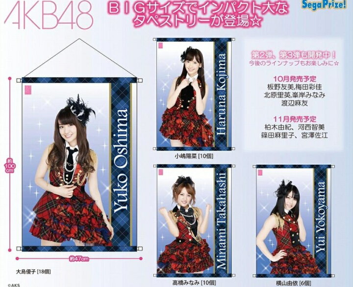 楽天市場】(アイドルグッズ) 限定入手 AKB48 BIGタペストリー 【全4種 